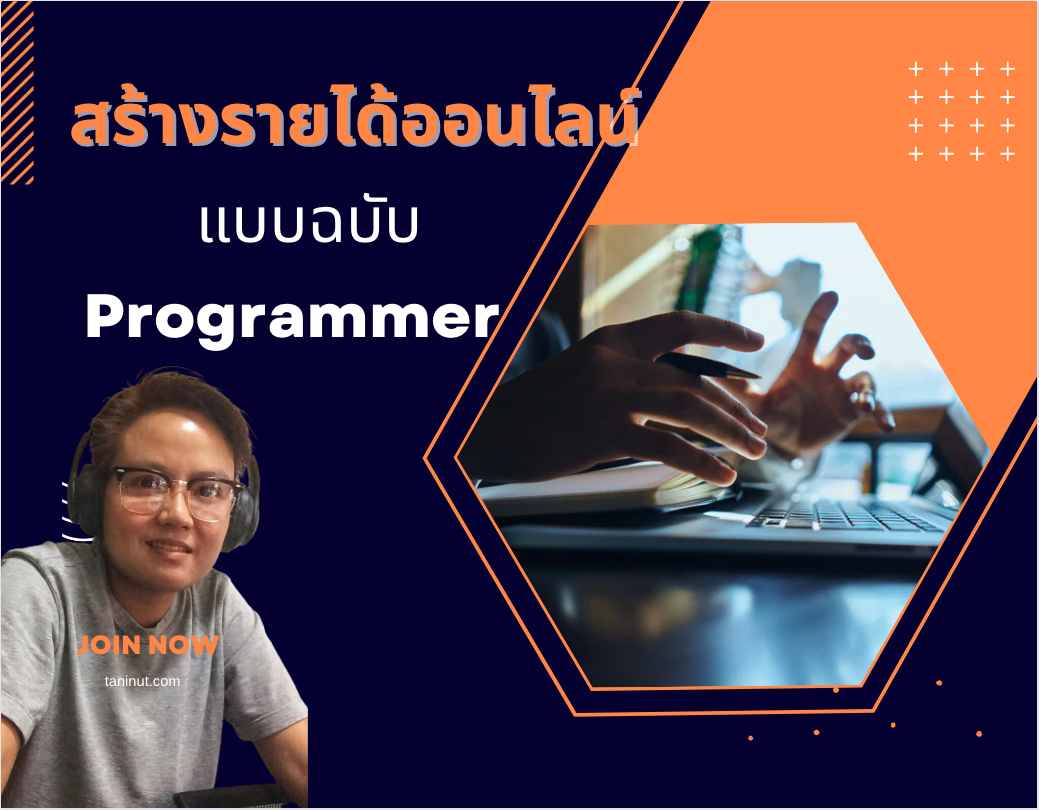 สร้างรายได้ออนไลน์ แบบฉบับ Programmer